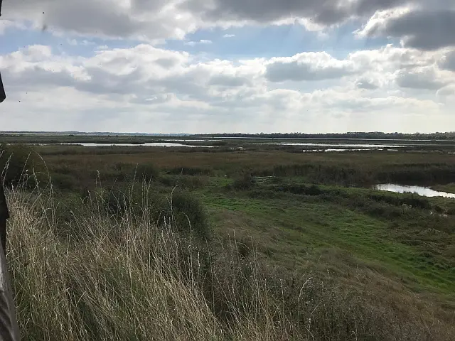 Promenade-découverte