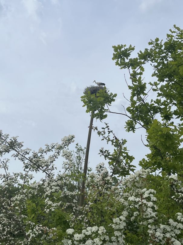 Photo d'illustration