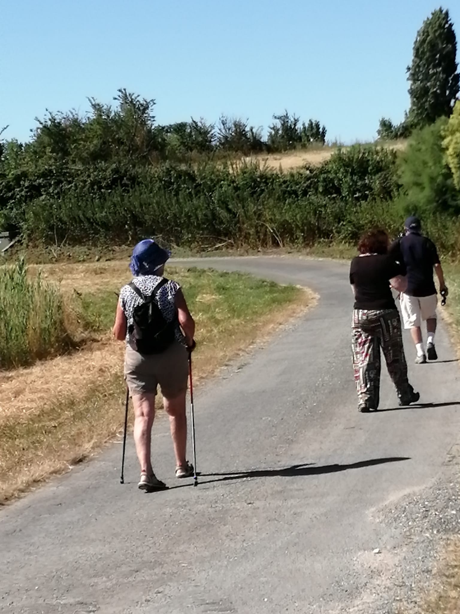 Promenade-découverte