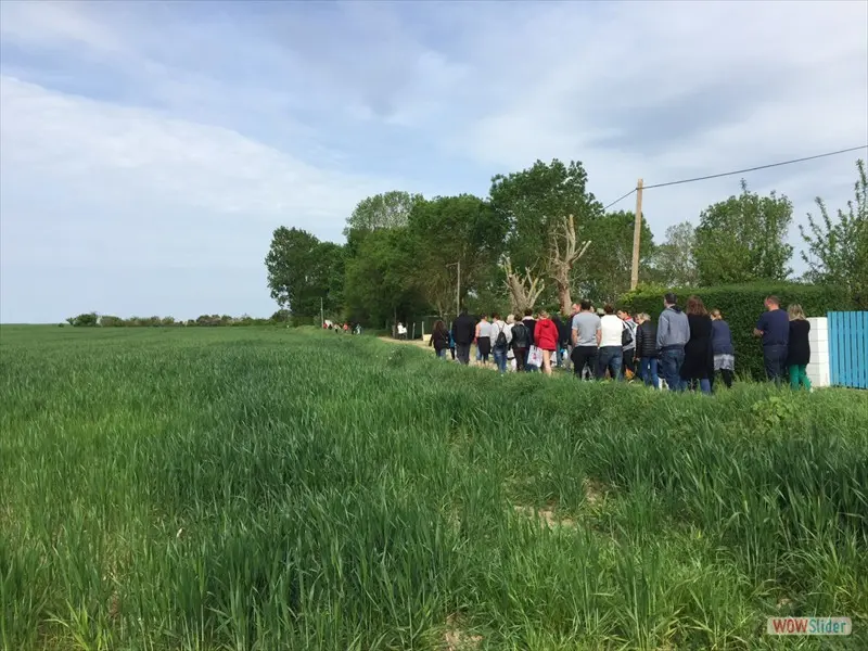 Chasse aux oeufs 2015