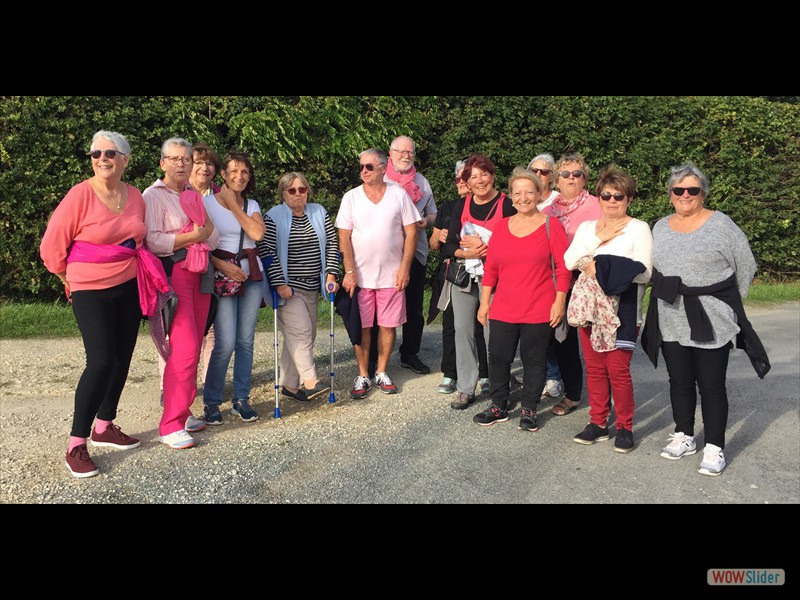 Octobre Rose 2019